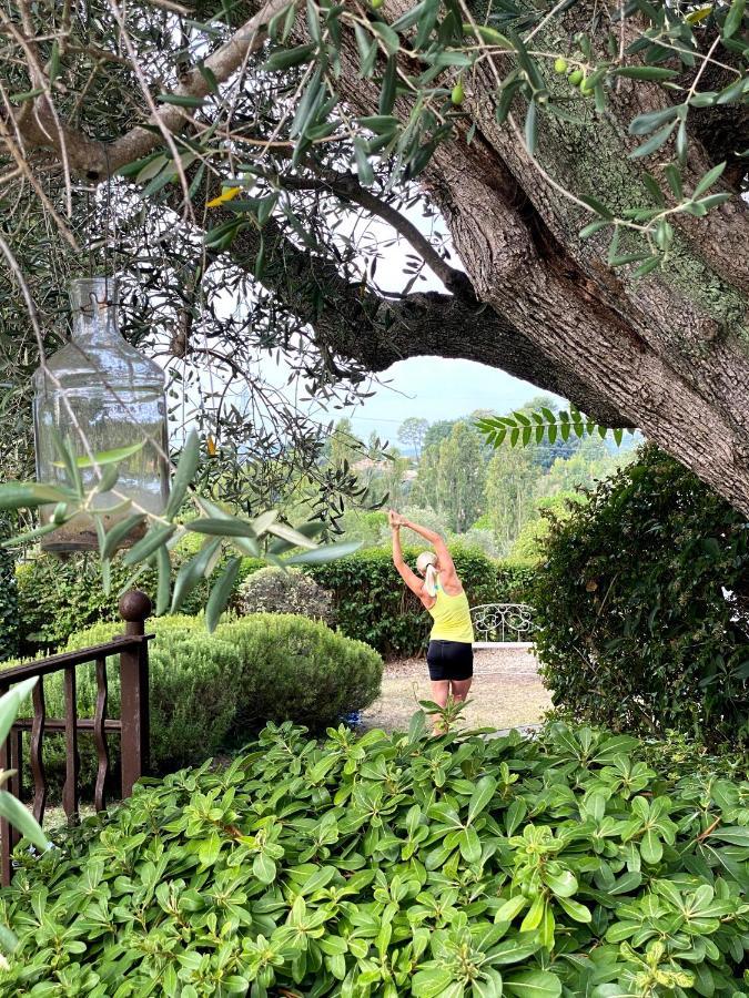 Hotel Le Manoir De L'Etang Mougins Zewnętrze zdjęcie